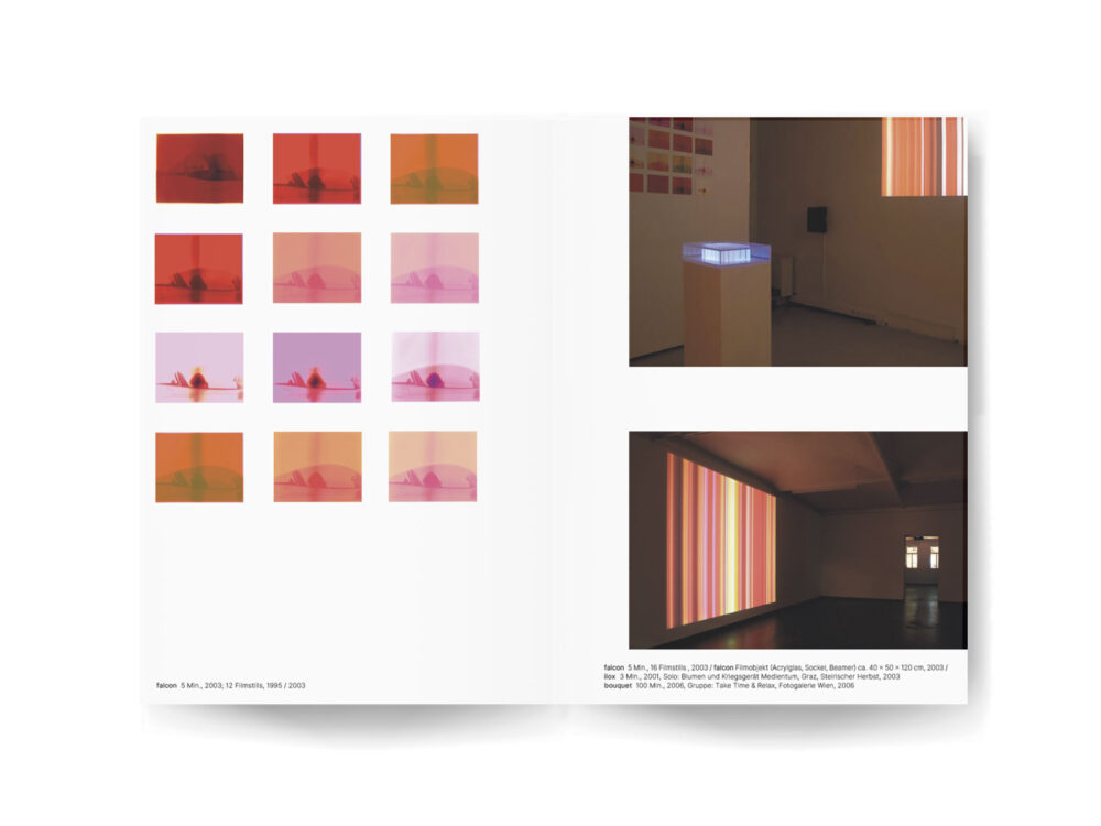 Karoe Goldt FRAME Künstlerbuch Innen 2 KRAUTin Verlag