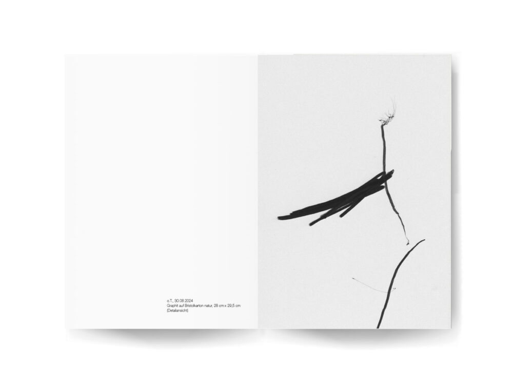 Rainer Plum OSZILLATIONEN Zeichnungen Fotografik Laser Innen 2 KRAUTIn Verlag